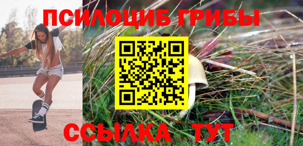 Мценск  Псилоцибиновые грибы ЛСД  Вход с VPN  Псилоцибиновые грибы Cubensis 